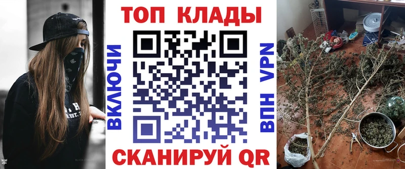 Где купить наркотики Верхняя Пышма Канабис  Cocaine  ГАШ  APVP  Меф мяу мяу 