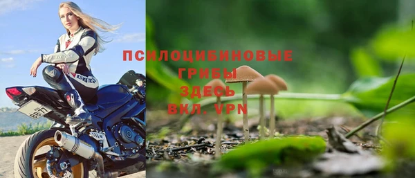 прущие крисы Беломорск