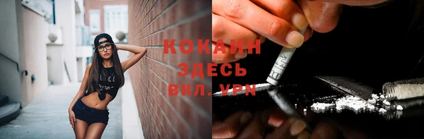 крисы Богданович