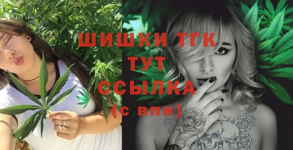 стафф Богородицк