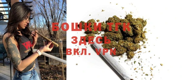 стафф Богородицк