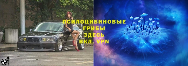 стафф Богородицк