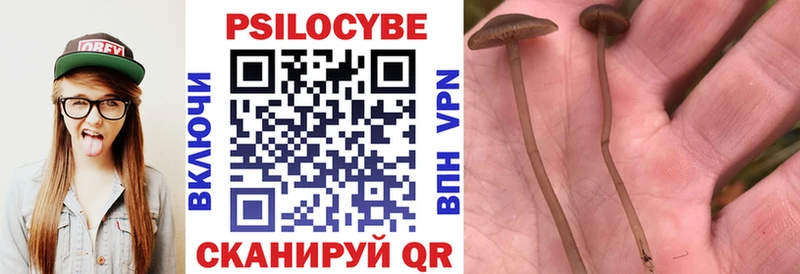 Псилоцибиновые грибы Cubensis дарнет шоп Верхняя Пышма